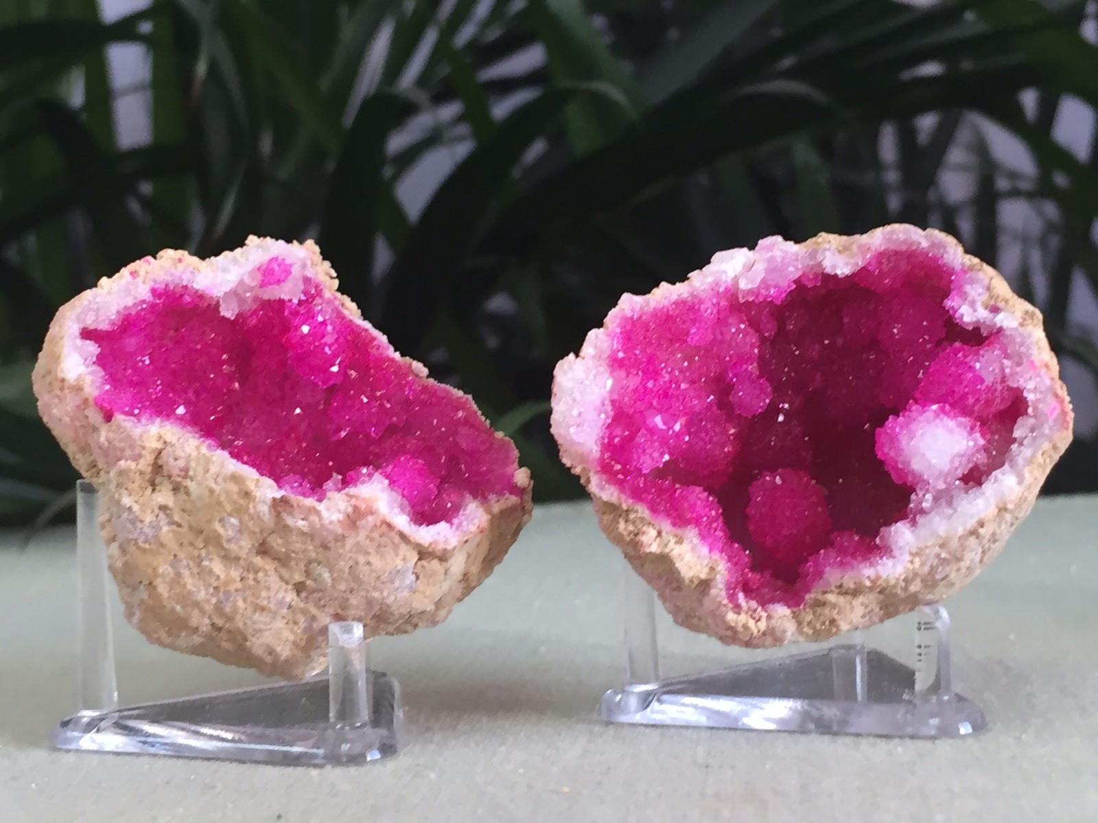 Pink Geode Pair Open Geode Crystal Quartz Gemstone Specimen Dyed Morocco Geode