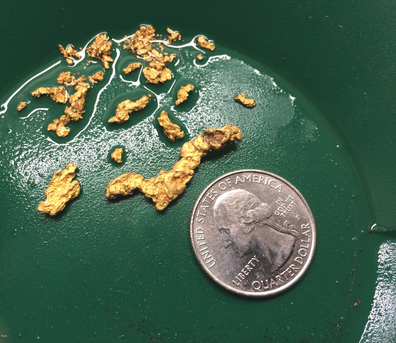 2 1/2 LB NUGGET RESERVE Gold Panning Paydirt Concentrate - Guaranteed Gold