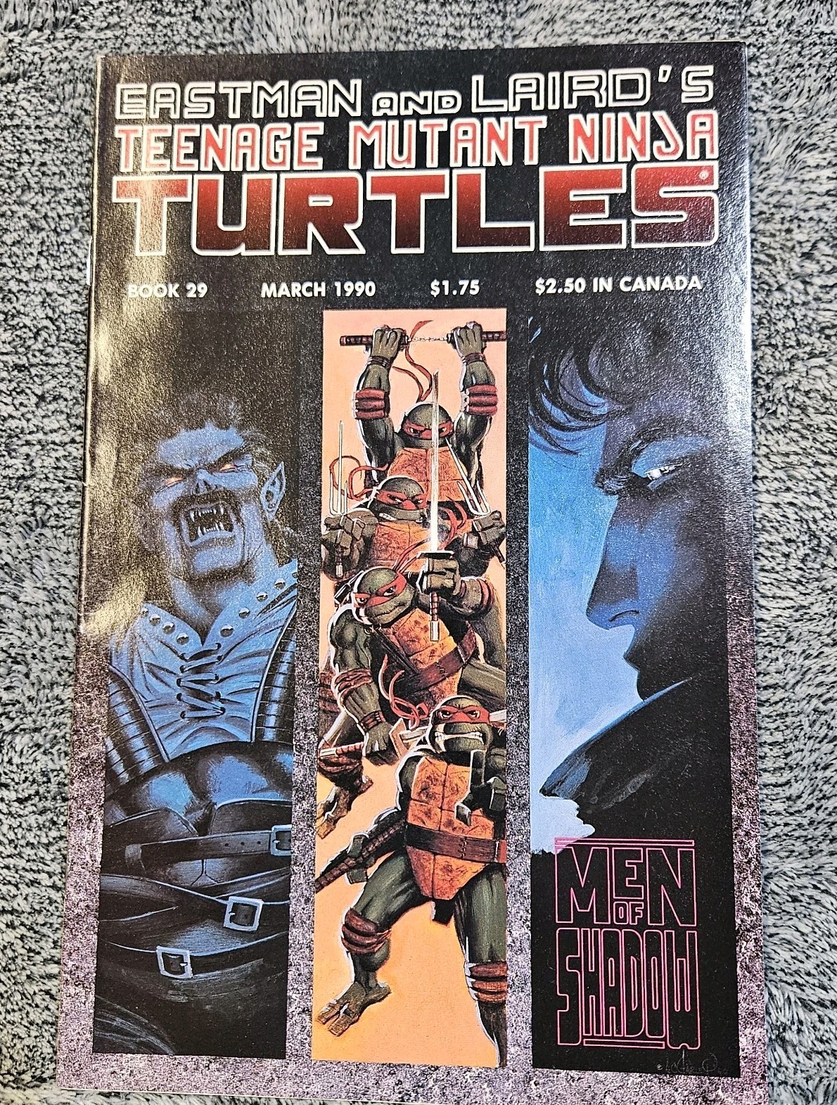 Eastman and Laird\'s Teenage Mutant Ninja Turtles #29 (March 1990) TMNT VF