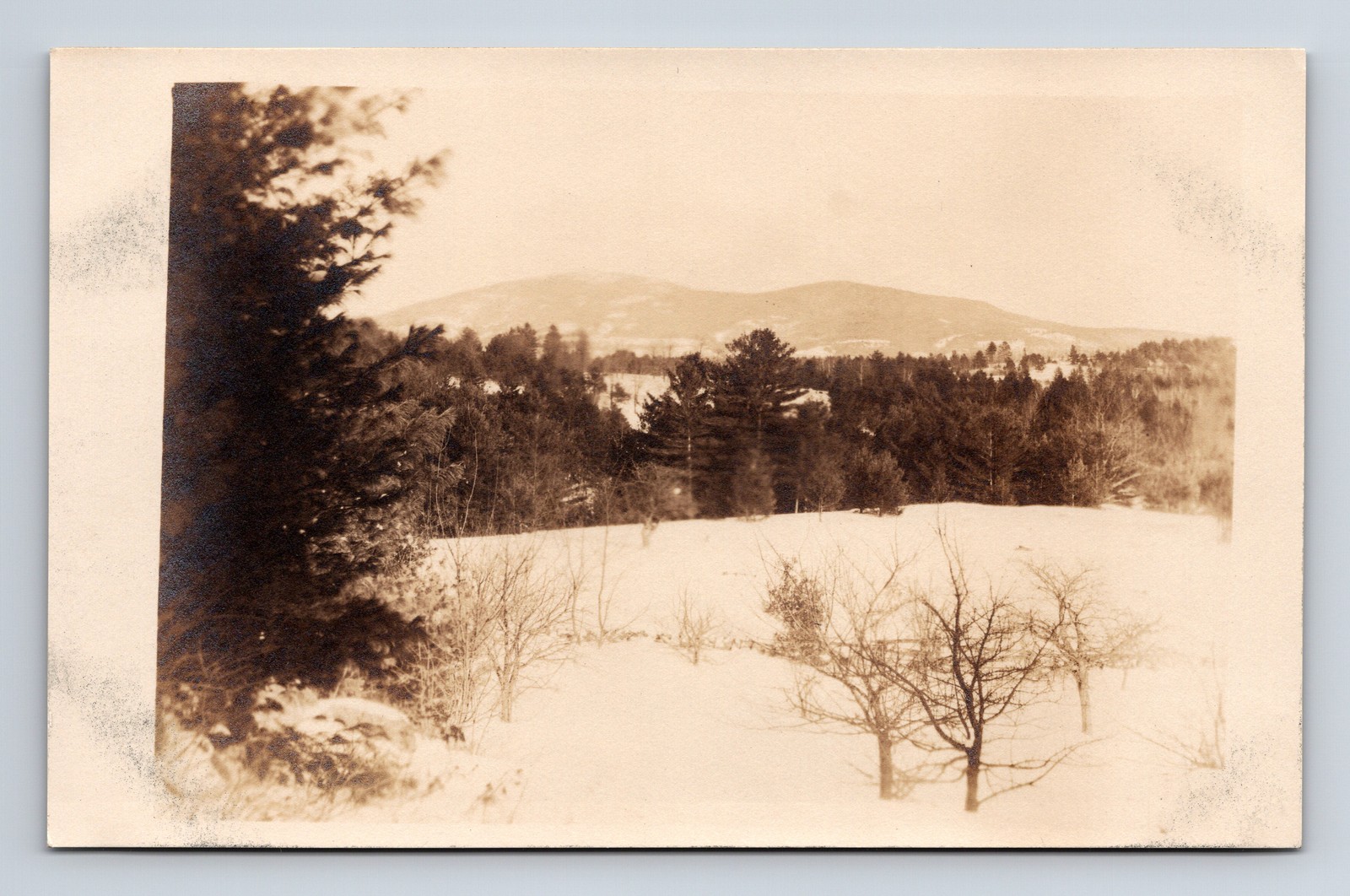 RPPC Scenic Snowy Moutain View Unknown Location Real Photo Postcard