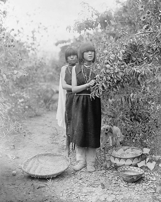TEWA GIRLS FRUIT GATHERERS EDWARD S. CURTIS 11x14 GLOSSY PHOTO PRINT