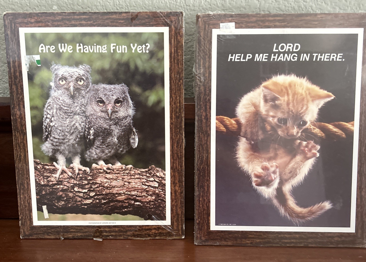 2-Vintage Leonard Lee Rue Plaques- “Having Fun Yet\