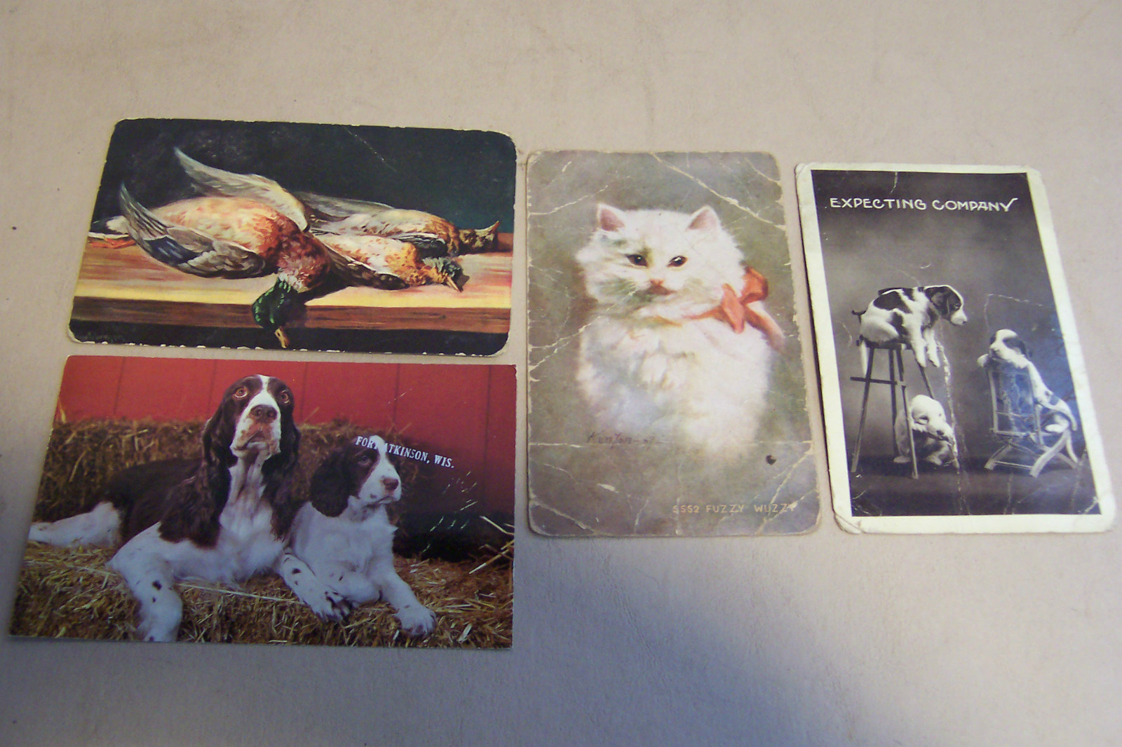 Vintage lot of 4 animal postcards,dogs,1910 cat,dead duck e-100 Vintage lot of 4 animal postcards,dogs,1910 cat,dead duck e-100