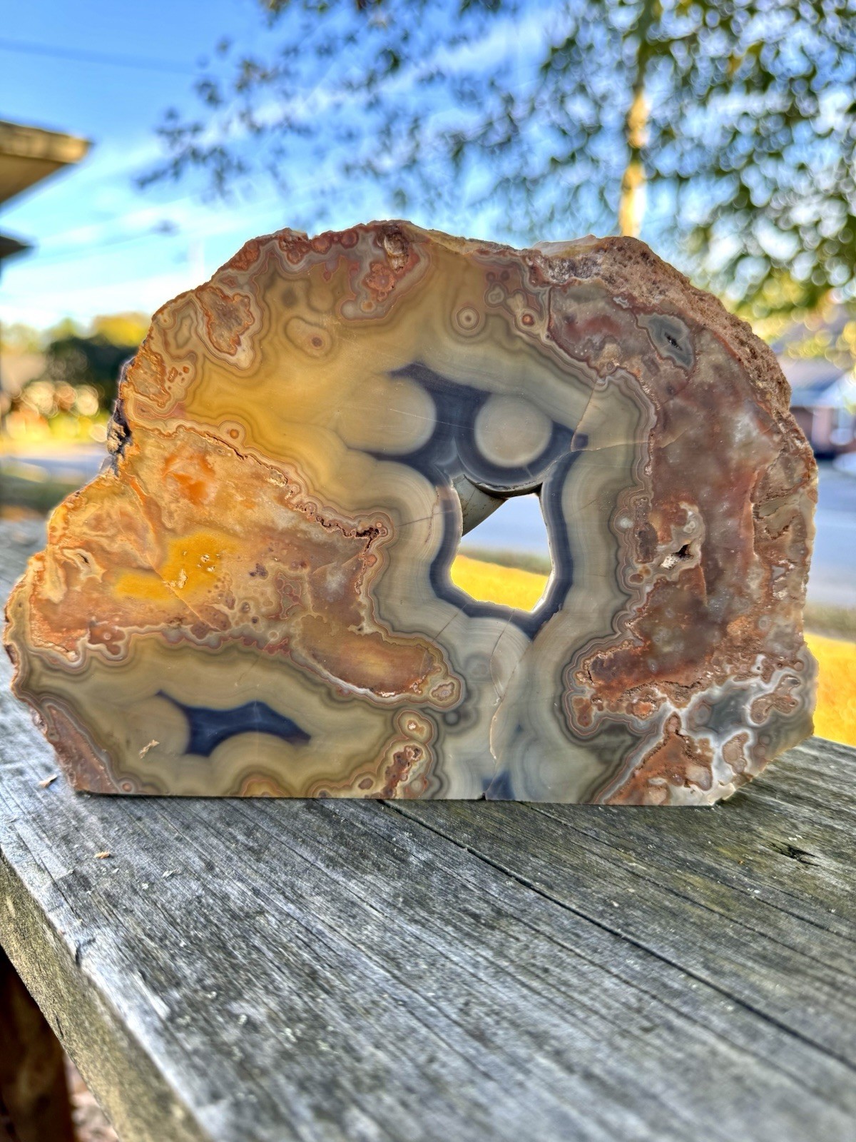 Rare Kentucky Agate Specimen from Estill County Rare Agates Display Piece Rare Kentucky Agate Specimen from Estill County Rare Agates Display Piece