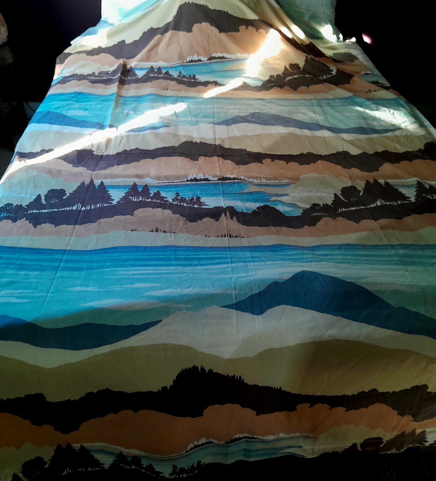 Vintage 1970s Burlington Twin Flat Sheet Mountains
