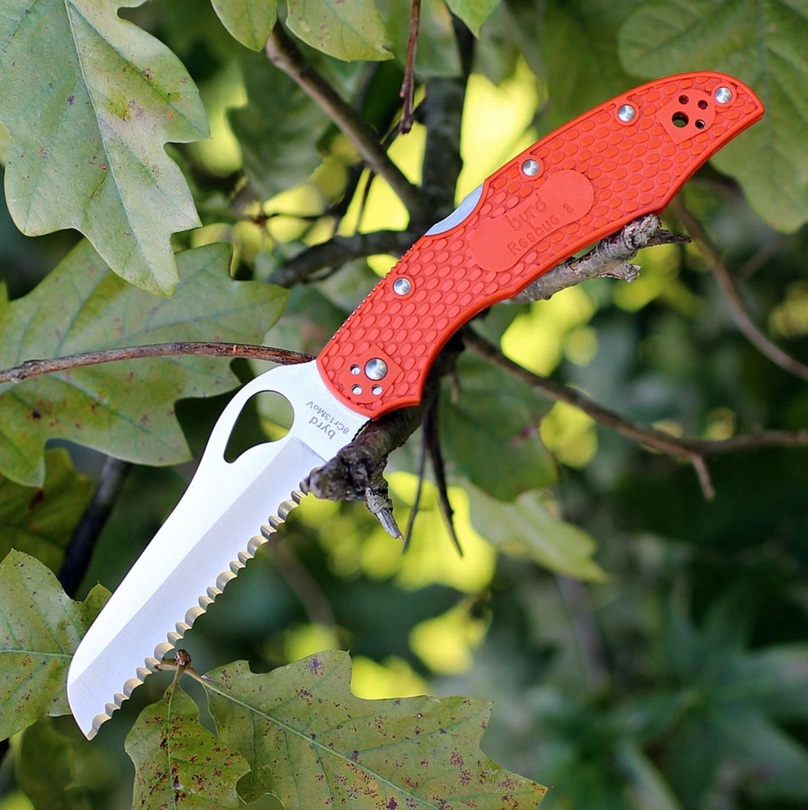 SPYDERCO BYRD CARA CARA 2 RESCUE FOLDING KNIFE ORANGE FRN SERRATED SS BY17SOR SPYDERCO BYRD CARA CARA 2 RESCUE FOLDING KNIFE ORANGE FRN SERRATED SS BY17SOR