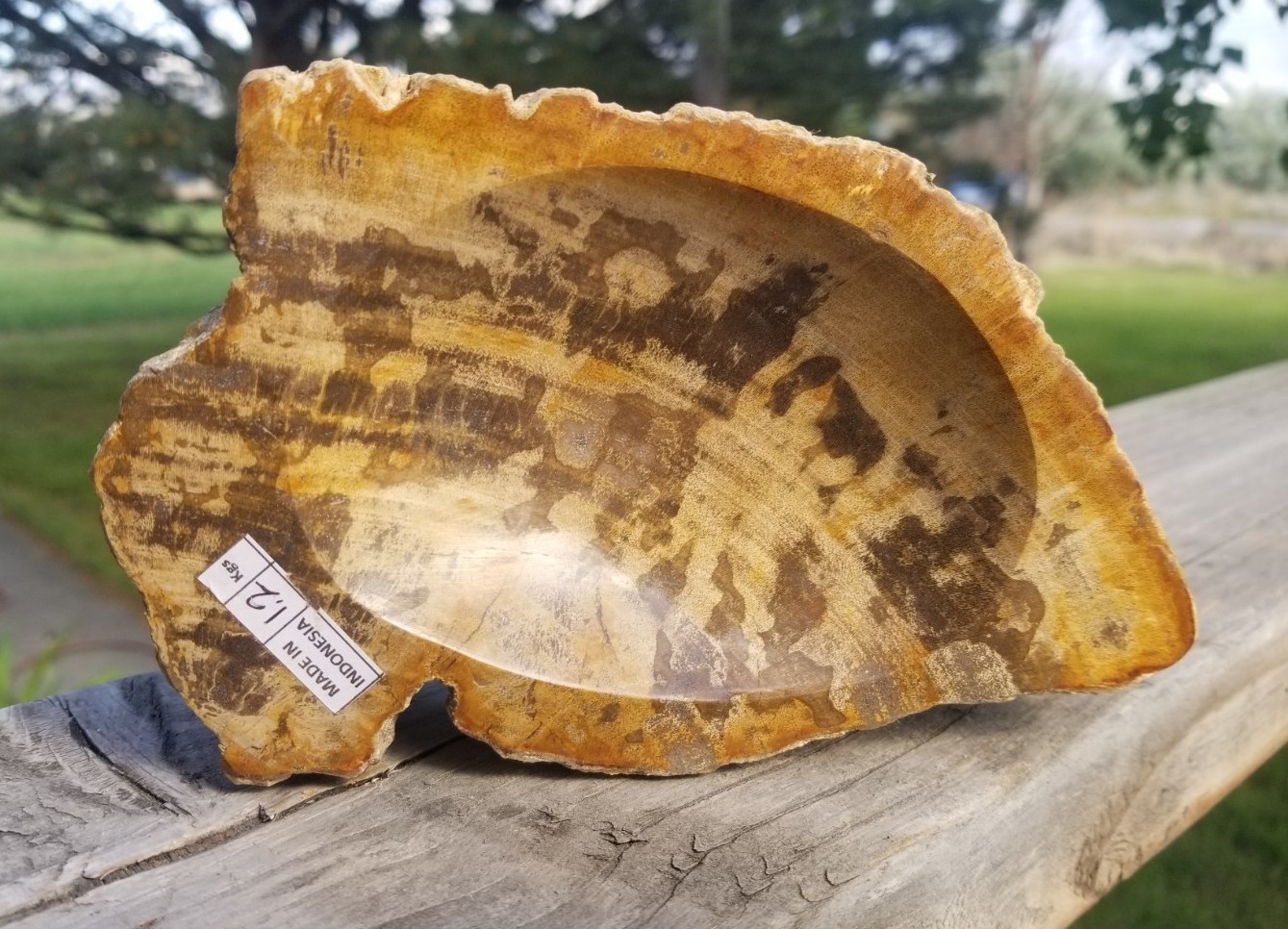 Nice Real Polished Petrified Wood Bowl 6x4\ Nice Real Polished Petrified Wood Bowl 6x4\