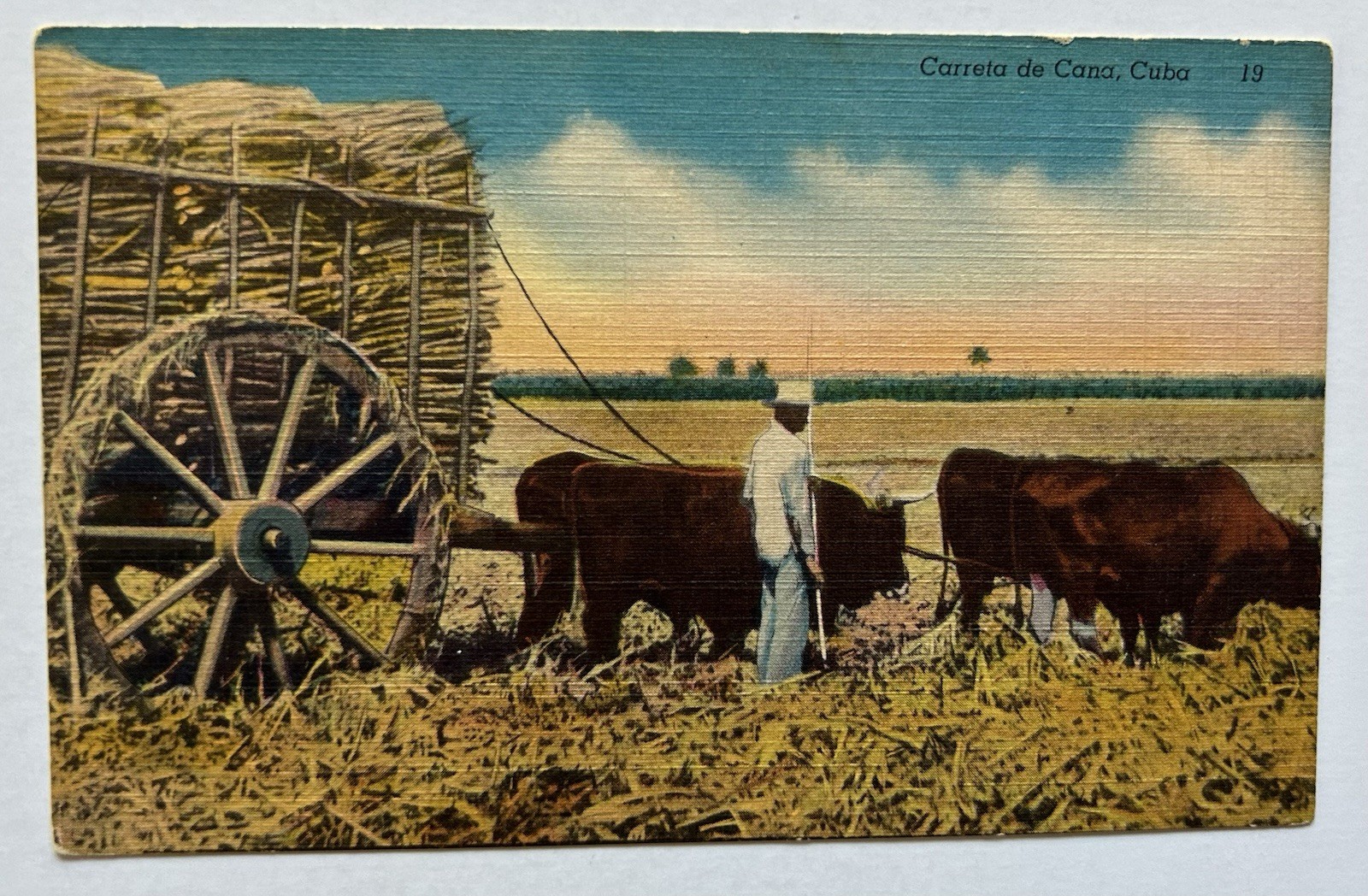 Carreta de Caña Cuba Sugar Cane Cart Oxen Plantation Scene Postcard B9