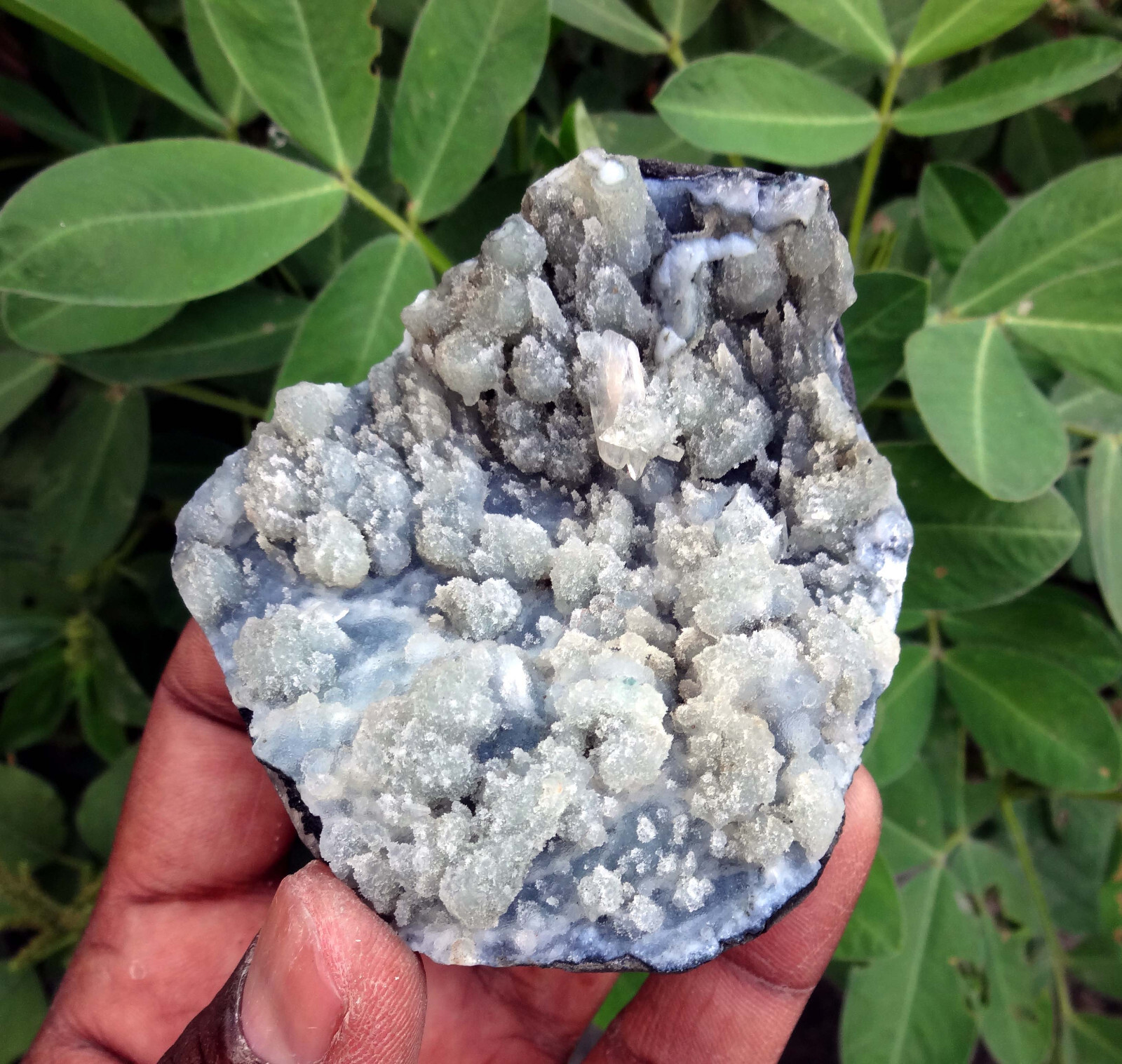 stilbite w/ chalcedony coral minerals specimen o-10