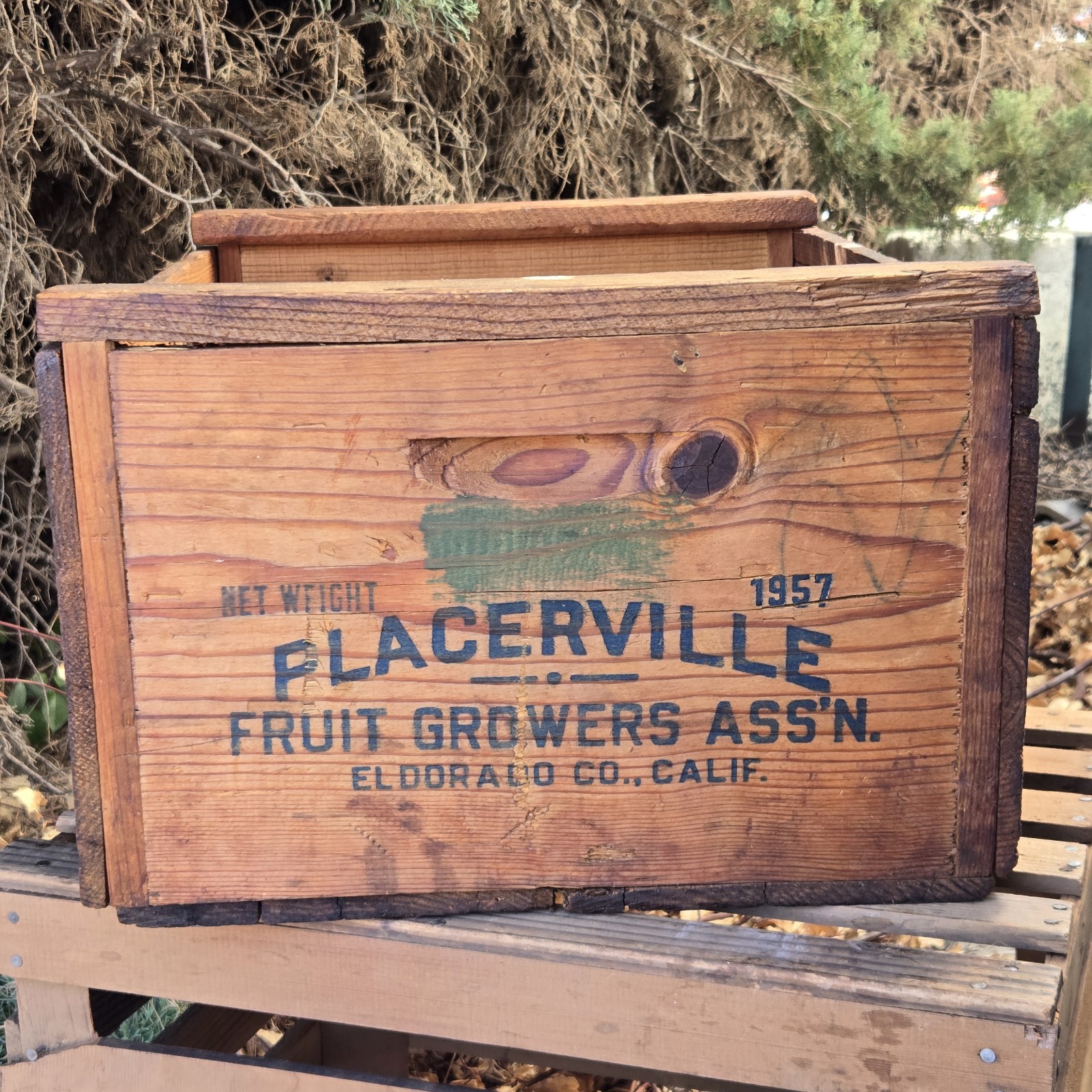 Vintage 1957 Placerville Fruit Growers Assn Wood Fruit Crate El Dorado CA