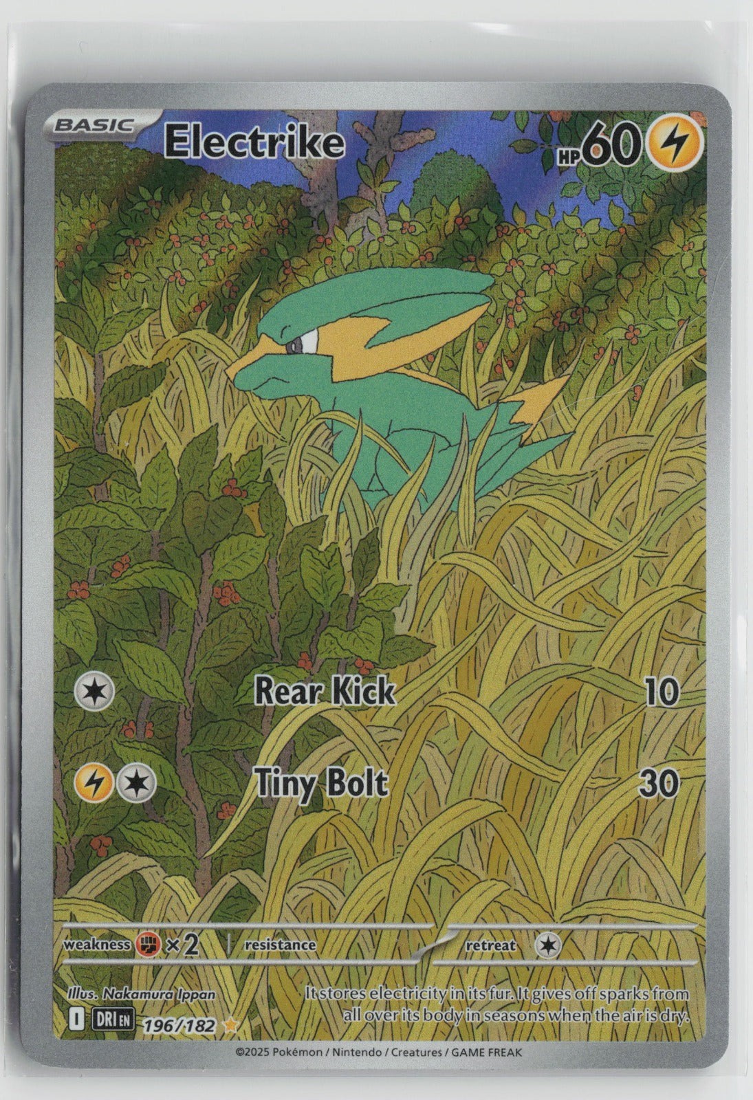 Electrike - Illustration Rare Holo DRI 196/182 NM