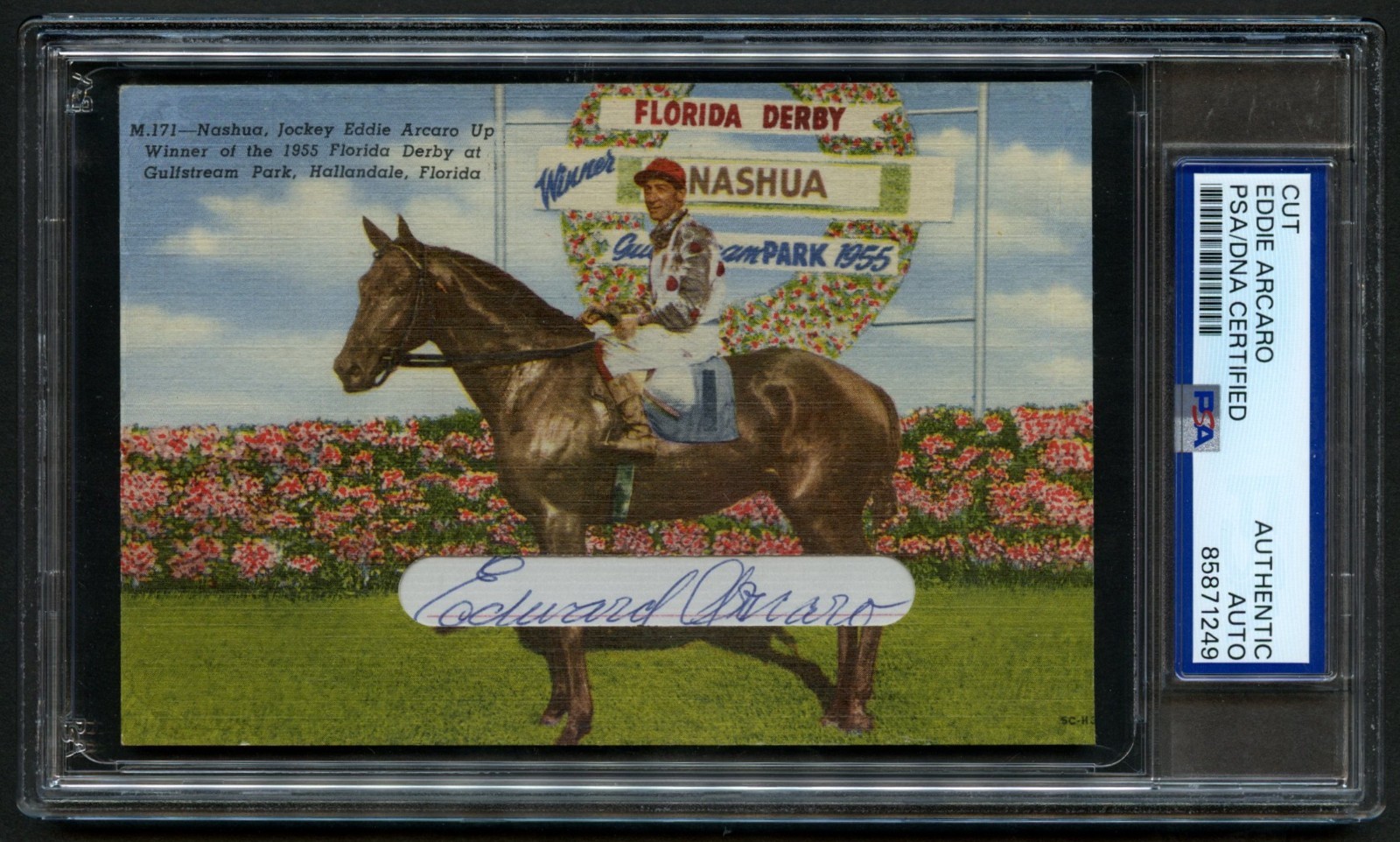 Eddie Arcaro signed autograph 3x5 Jockey Custom Cut PSA Slabbed Eddie Arcaro signed autograph 3x5 Jockey Custom Cut PSA Slabbed