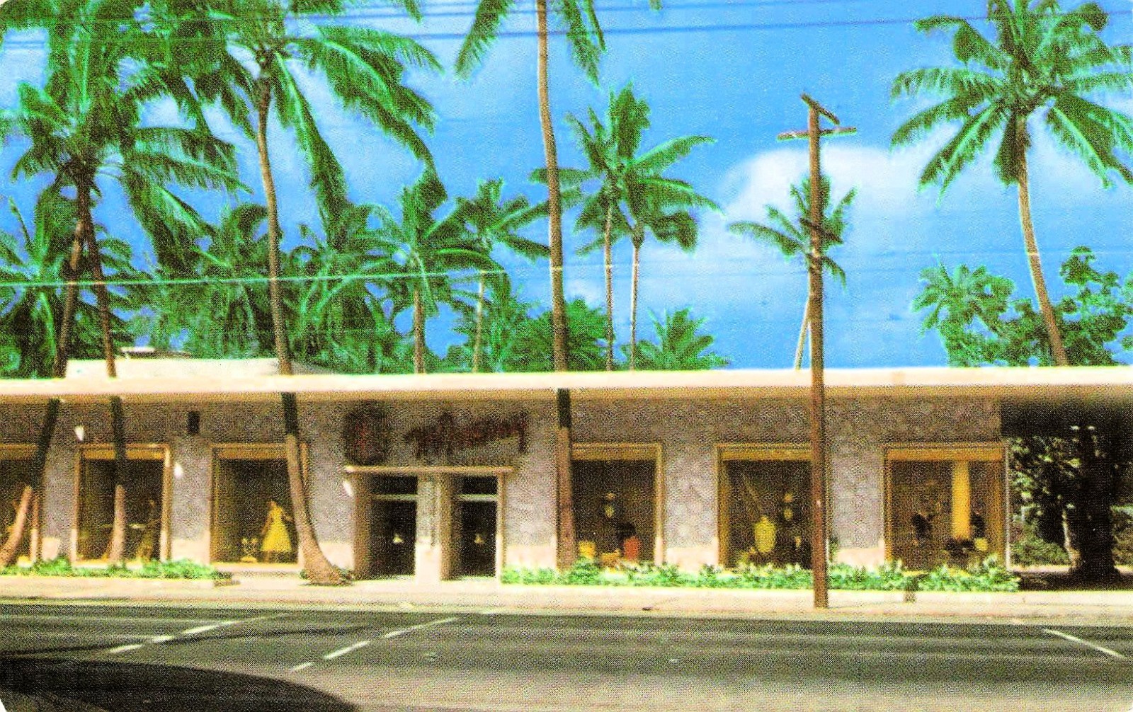 Honolulu HI Hawaii McInerny Waikiki Clothing Store Palm Trees Vtg Postcard 12A