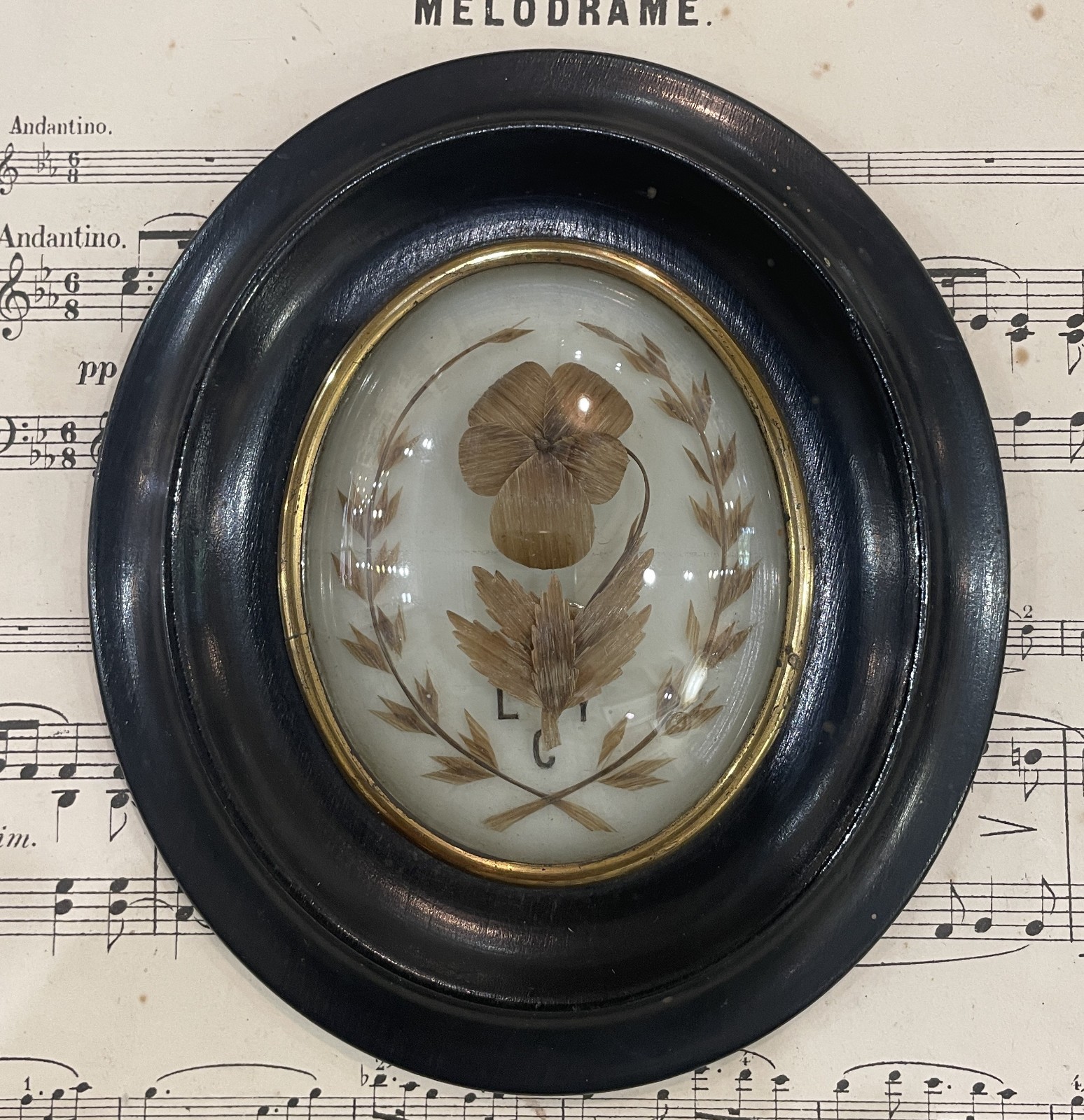 Antique French Mourning Hair Art Domed Glass Wooden Frame c1880 Antique French Mourning Hair Art Domed Glass Wooden Frame c1880