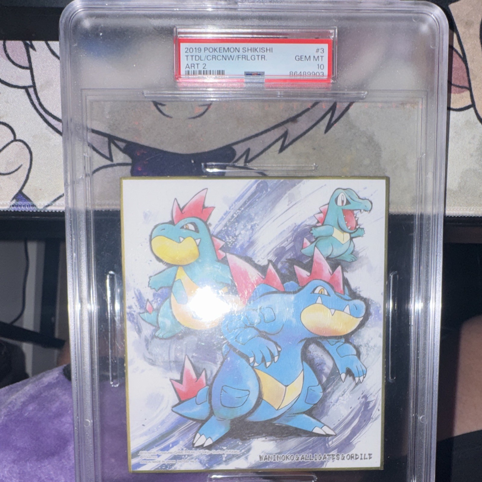 PSA 10 2019 Pokemon Shikishi Totodile/Croconaw/Feraligatr #3 Graded
