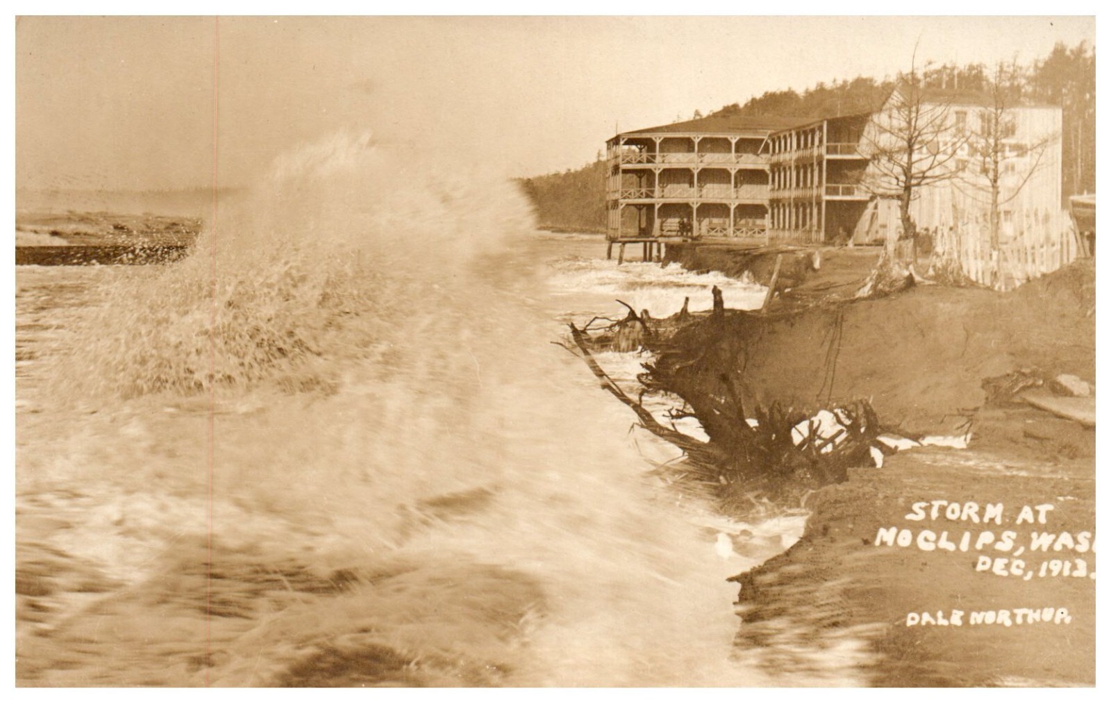 RPPC  Moclips Gray\'s Harbor Storm Washington December 1913 Postcard RARE