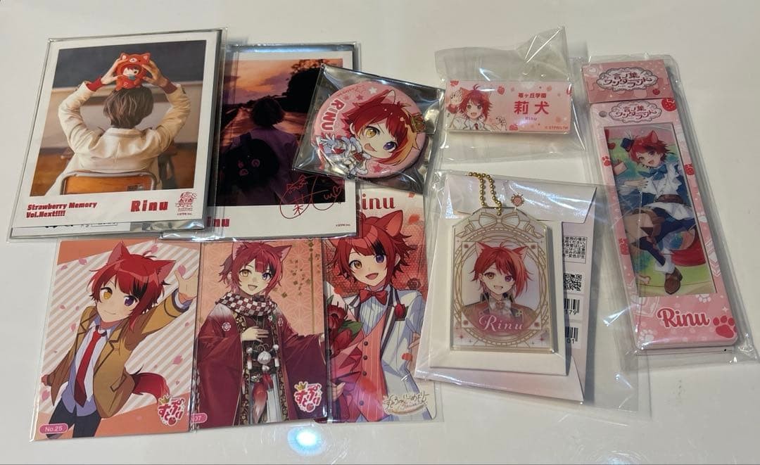 Rinu-kun goods set