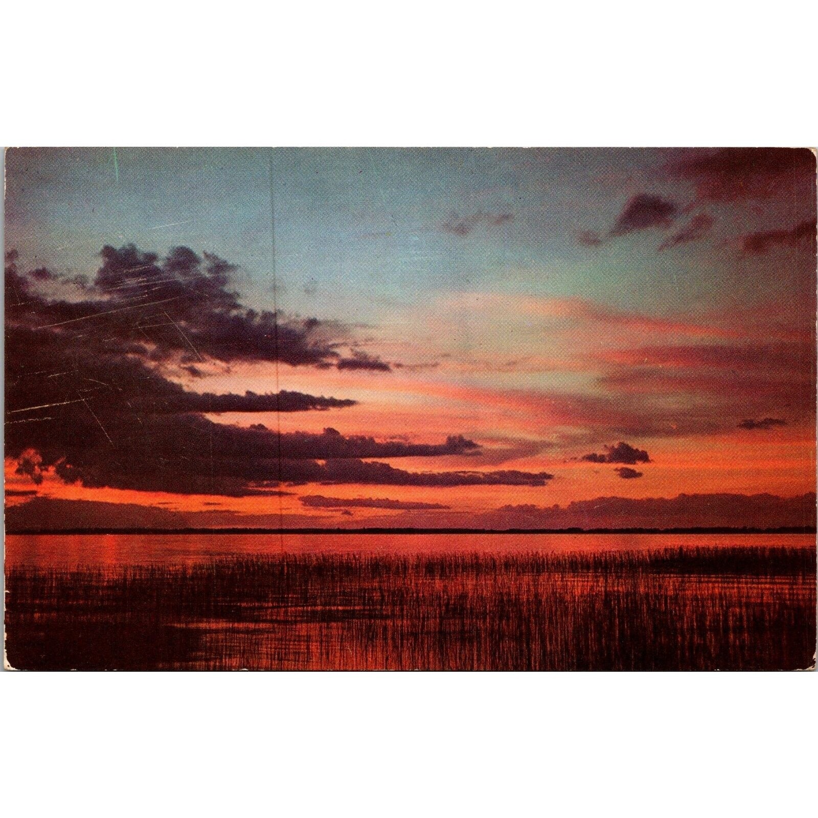 A Roseate Sky End of Day O\'er The Reed Bed Postcard PC169