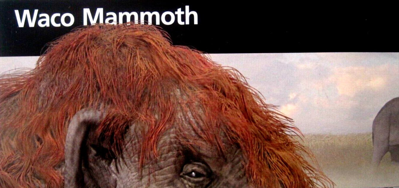 Waco Mammoth National Monument National Park Service Unigrid Brochure Map Waco Mammoth National Monument National Park Service Unigrid Brochure Map