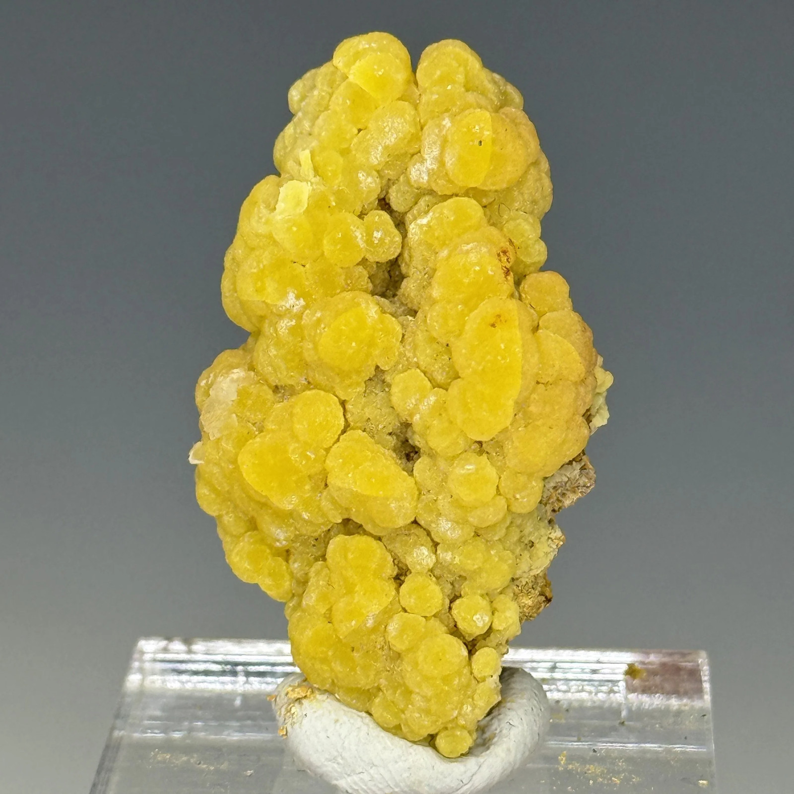 Mimetite, San Pedro Mine, Casas Grandes Municipality, Chihuahua, Mexico Mimetite, San Pedro Mine, Casas Grandes Municipality, Chihuahua, Mexico