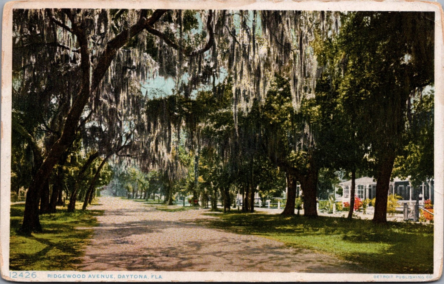Ridgewood Ave Daytona, FL Spanish Moss Trees Vintage Phostint Postcard Ridgewood Ave Daytona, FL Spanish Moss Trees Vintage Phostint Postcard