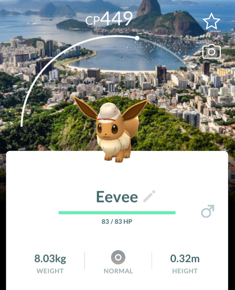 ⚡ Explorer Eevee Rio de Janeiro Background | Pokémon GO Trade