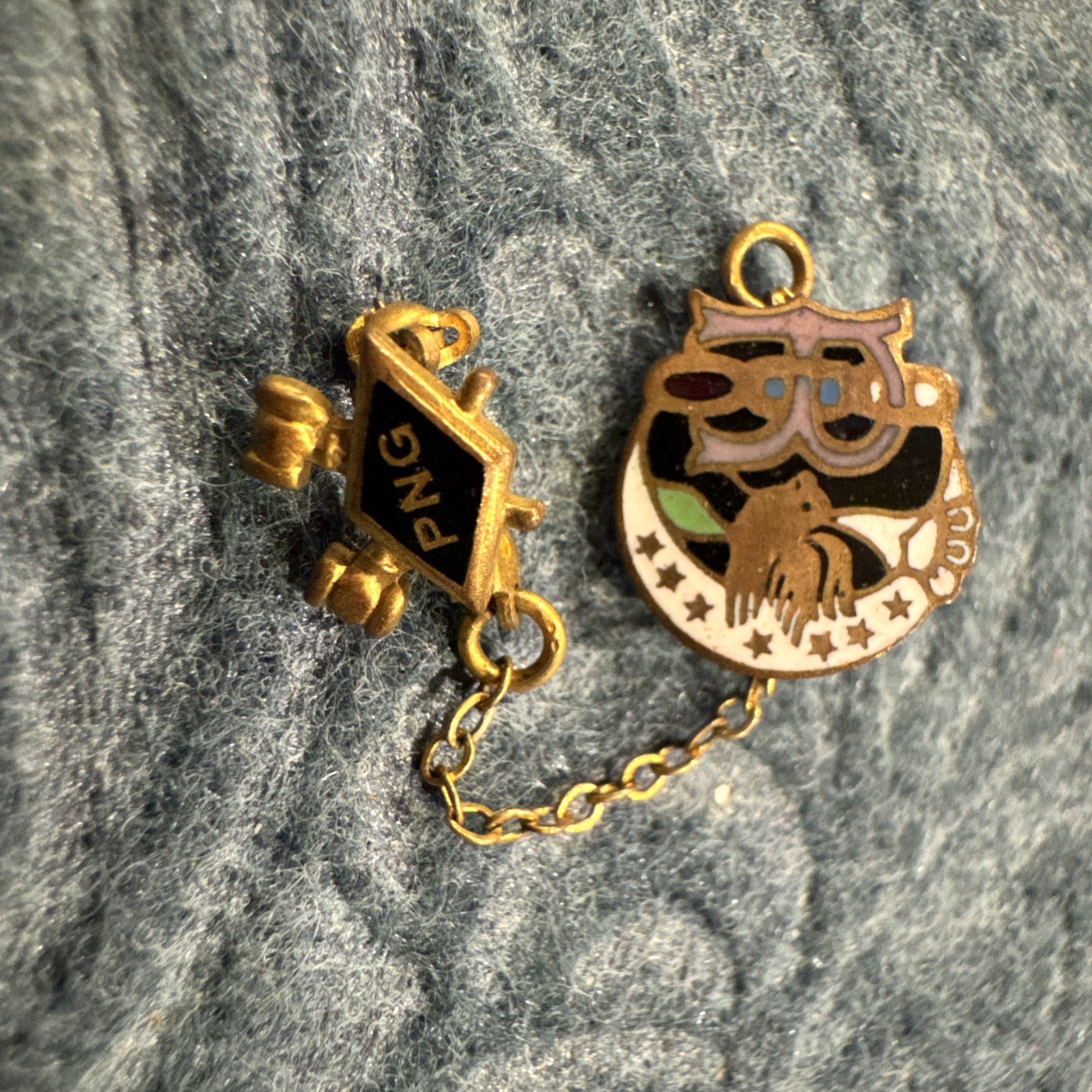 Vintage Daughters of Rebekah Pin PNG Past Noble Grand IOOF Enameled Guard Chain