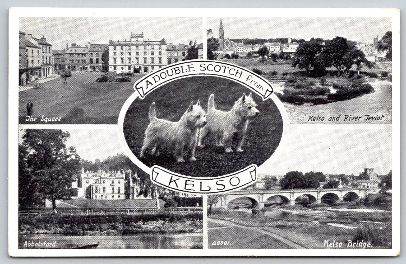 Vintage Multi-View Postcard of Kelso Scotland with Westie Dogs 1961 C341