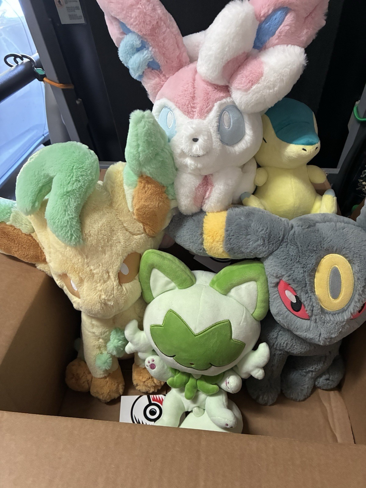 FIVE Pokemon Center Umbreon, Cydaquil, Sprigatito, Sylveon, Leafeon W/tag FIVE Pokemon Center Umbreon, Cydaquil, Sprigatito, Sylveon, Leafeon W/tag