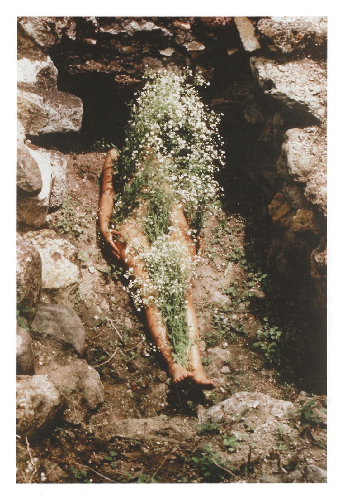 Postcard Ana Mendieta, Photo 