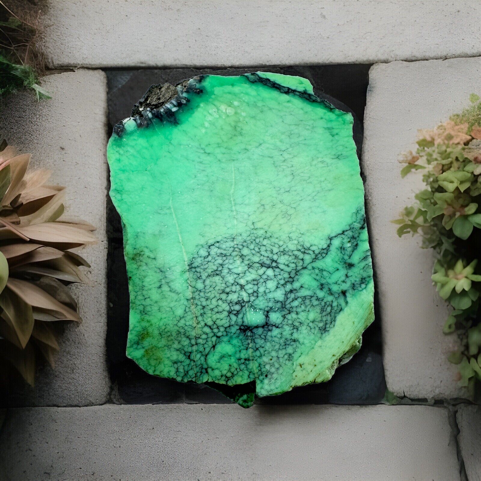 Natural Emerald Rose Variscite 250 Grams Solid Green Has A Fracture , Nice Piece Natural Emerald Rose Variscite 250 Grams Solid Green Has A Fracture , Nice Piece