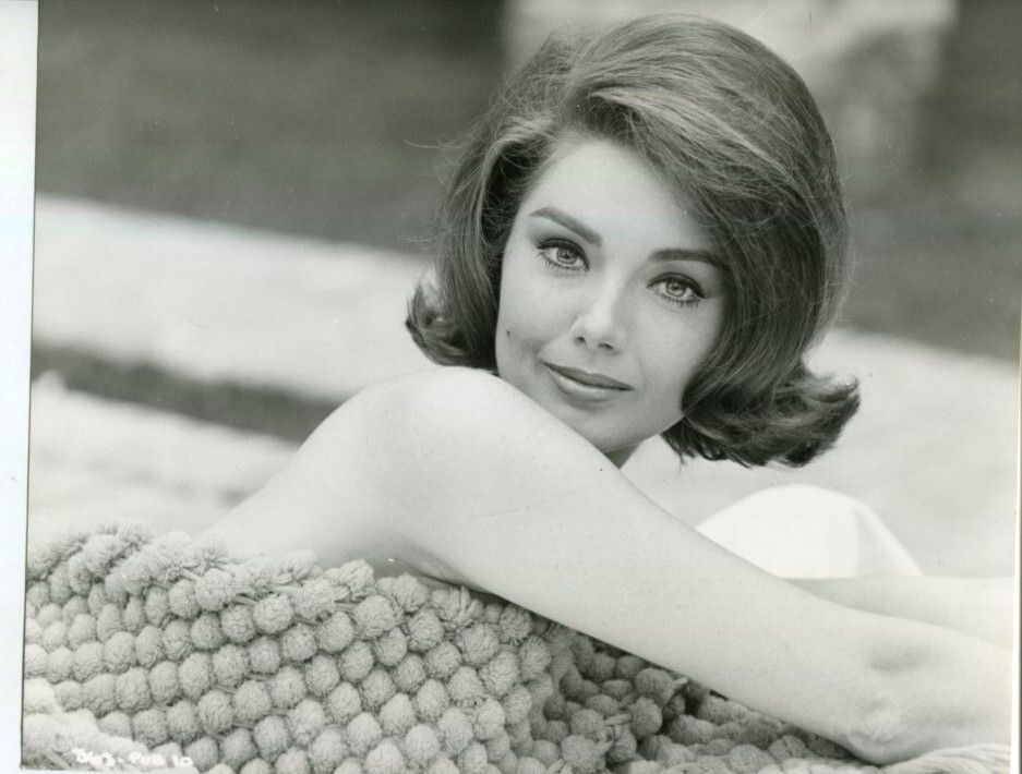 Sylva KOSCINA Belle Original Photograph 24*18 by Georges COURTNEY WARD Sylva KOSCINA Belle Original Photograph 24*18 by Georges COURTNEY WARD