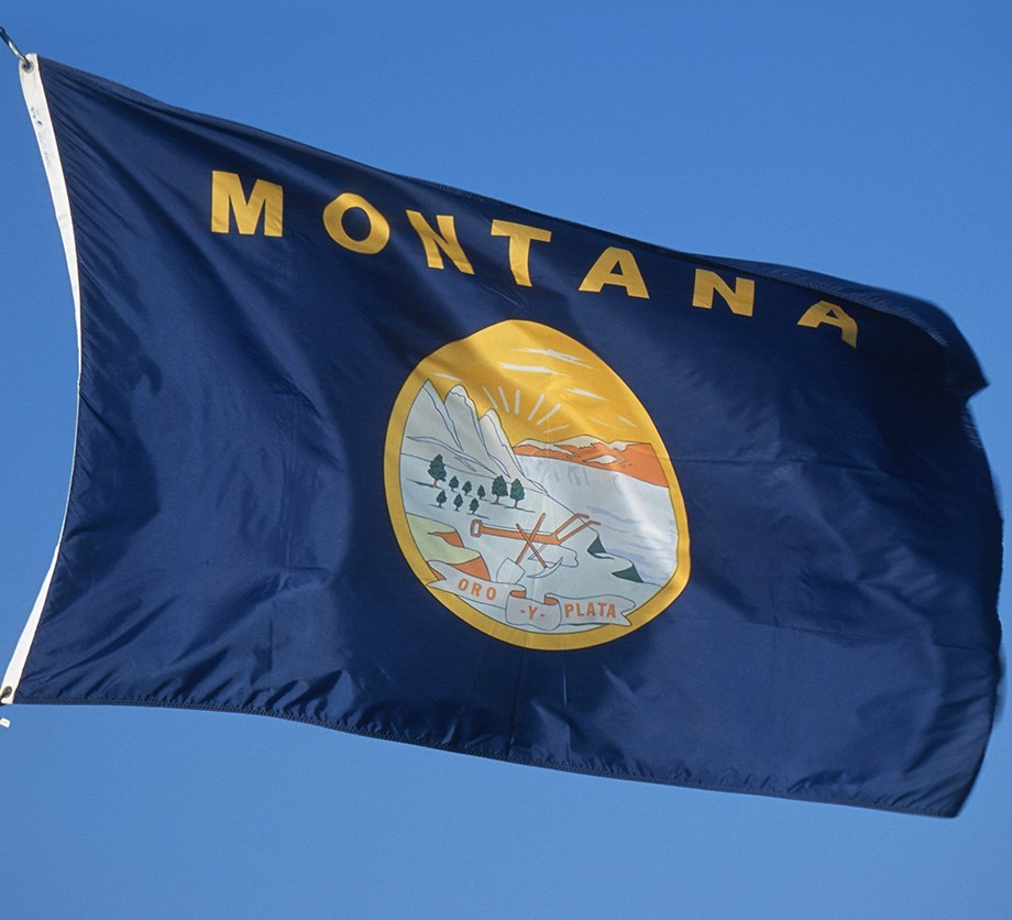 NEW 3x5 ft MONTANA STATE OF FLAG better quality usa seller NEW 3x5 ft MONTANA STATE OF FLAG better quality usa seller