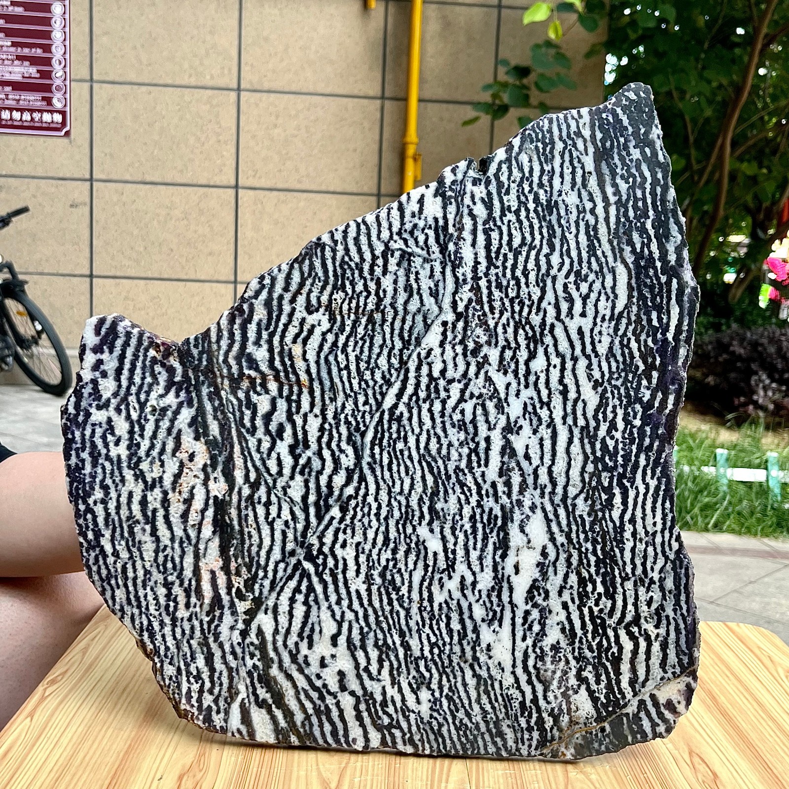 9.2 lb Natural Zebra Polished Crystal Ball Gray Stripe Specimen