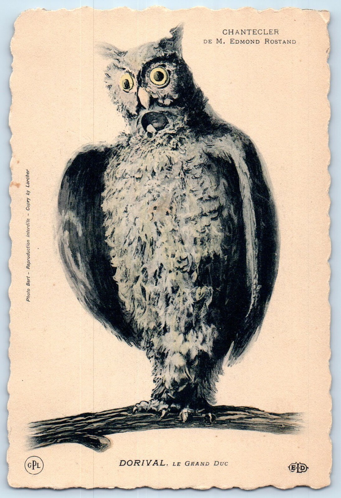 c1905 Owl Suit Fantasy Chantecler M. Edmond Rostand Antique Unposted Postcard c1905 Owl Suit Fantasy Chantecler M. Edmond Rostand Antique Unposted Postcard