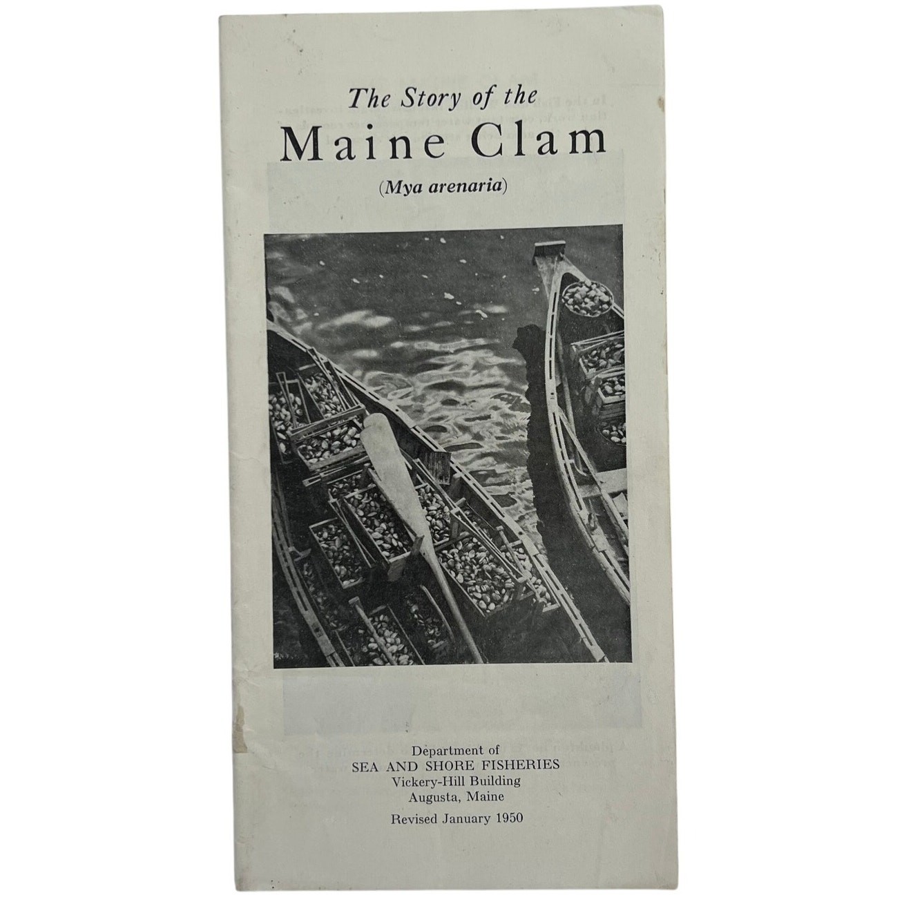 Vintage 1950 Story of the Maine Clam Booklet Sea and Shore Fisheries Vintage 1950 Story of the Maine Clam Booklet Sea and Shore Fisheries
