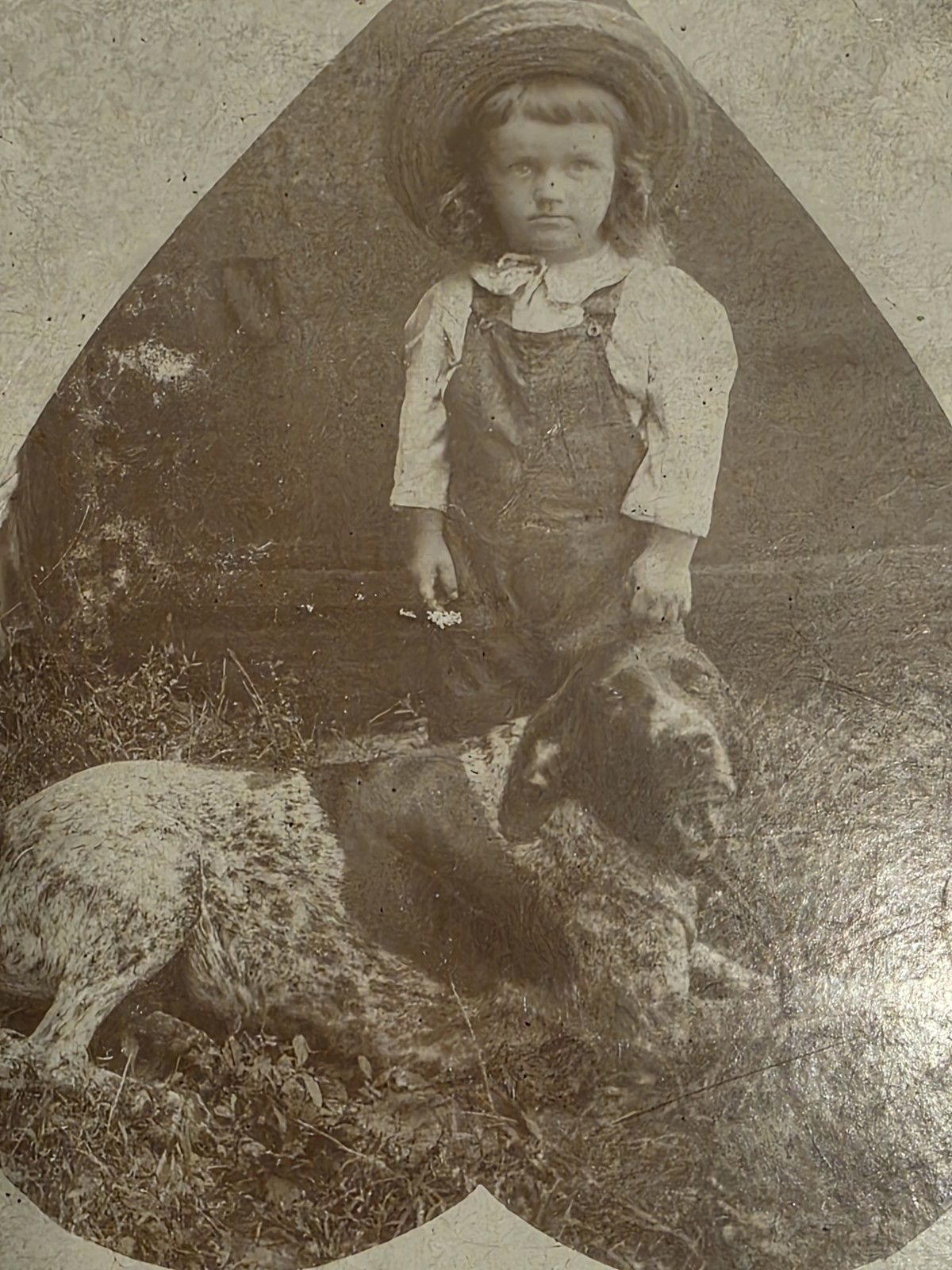19th Cent. Cabinet Card: A Missouri Boy and His bird dog DATED 1896