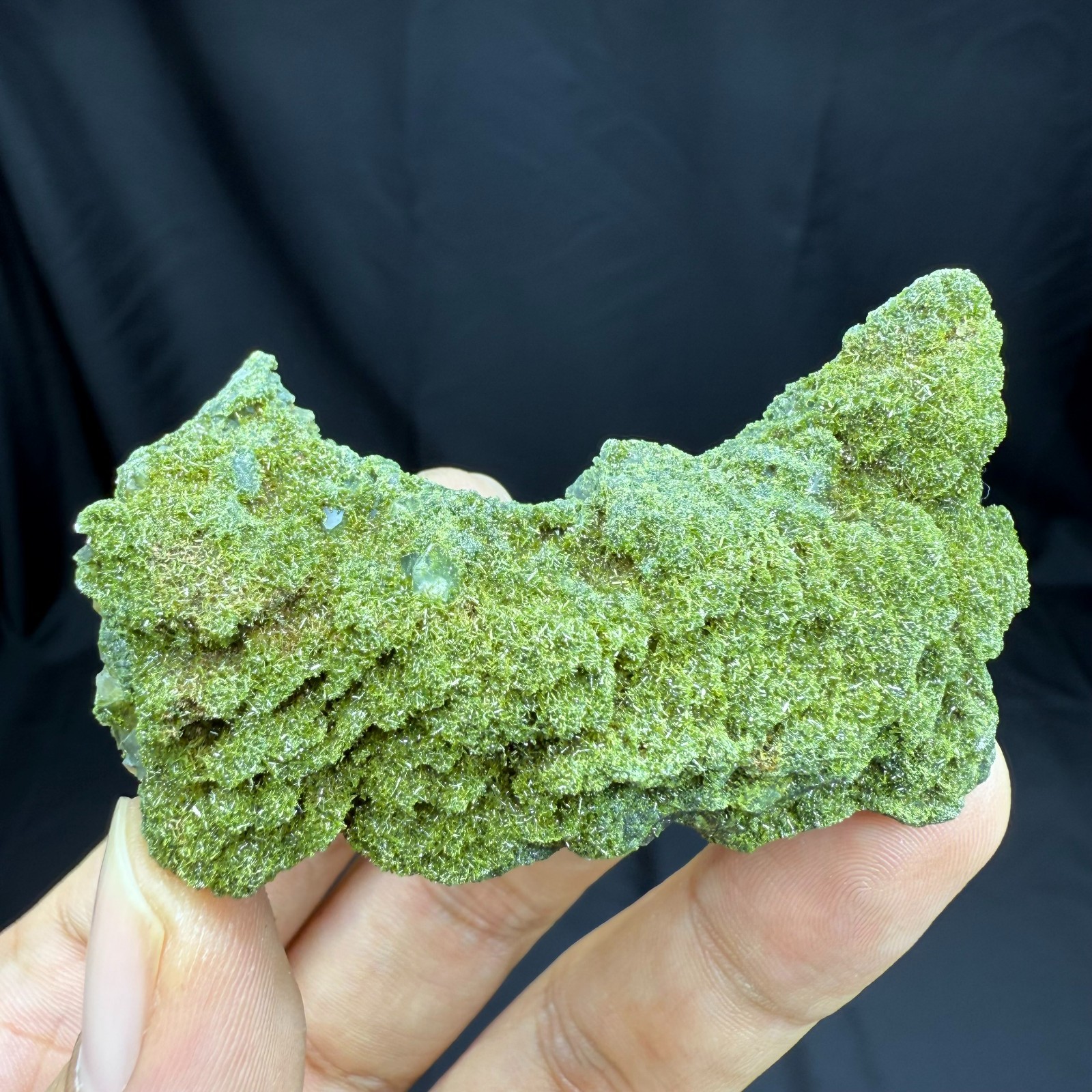 61g BEST Natural Quartz/Epidote Crystal Quartz Minerals Specimens