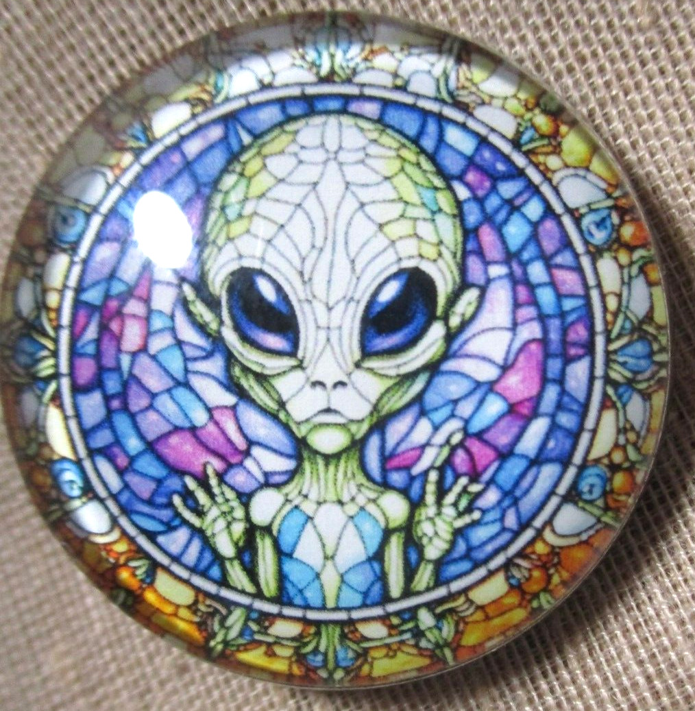GLASS DOME PICTURE \