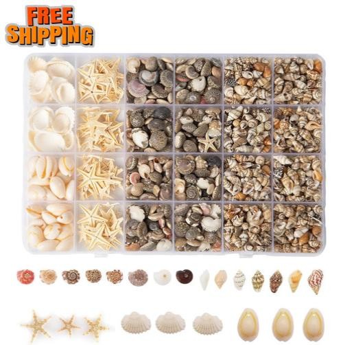 1300+pcs Tiny Seashells for Crafts, Small Sea Shells in Bulk with Mini Starfish 1300+pcs Tiny Seashells for Crafts, Small Sea Shells in Bulk with Mini Starfish