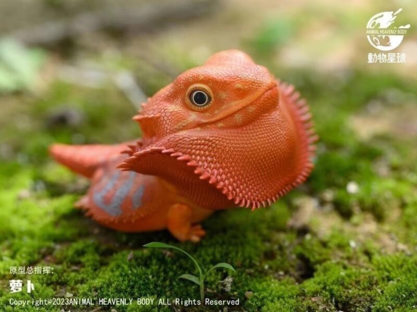 Animal Heavenly Body Vitticeps (Red) - Central Bearded Dragon Statue