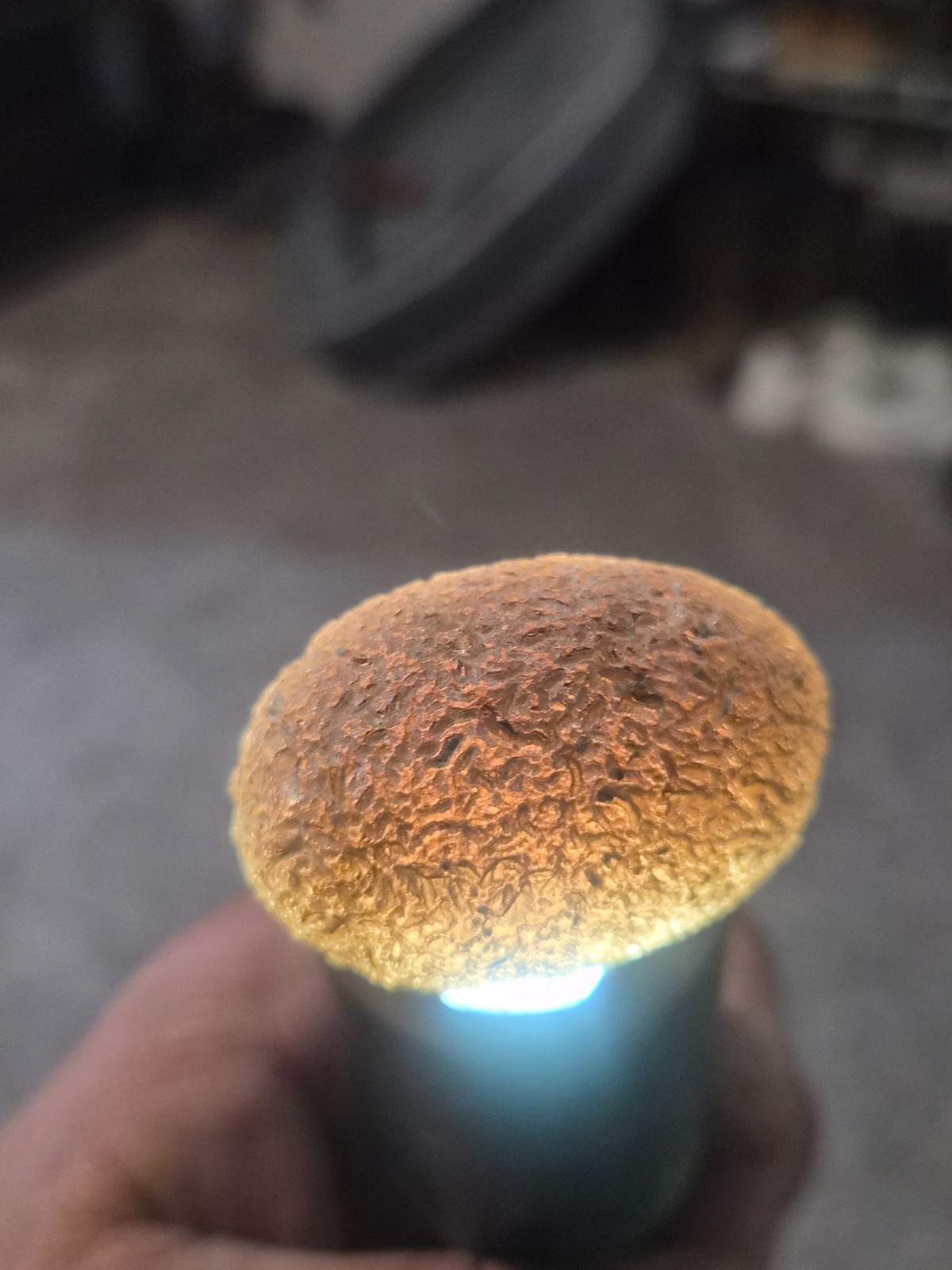 100%Fully Translucent, Saffordite Cintamani, Star Stone,Tektite44GRAMS 100%Fully Translucent, Saffordite Cintamani, Star Stone,Tektite44GRAMS