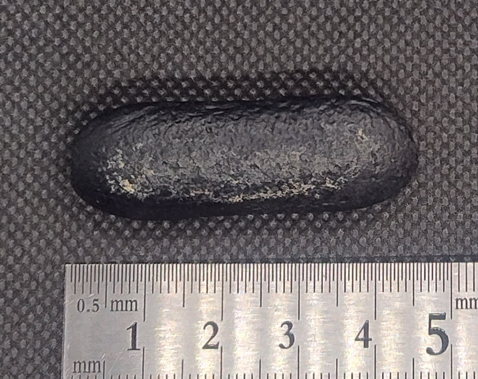 Australian Australite Tektite Rare Dumbell, From Kalgoorlie WA Australian Australite Tektite Rare Dumbell, From Kalgoorlie WA