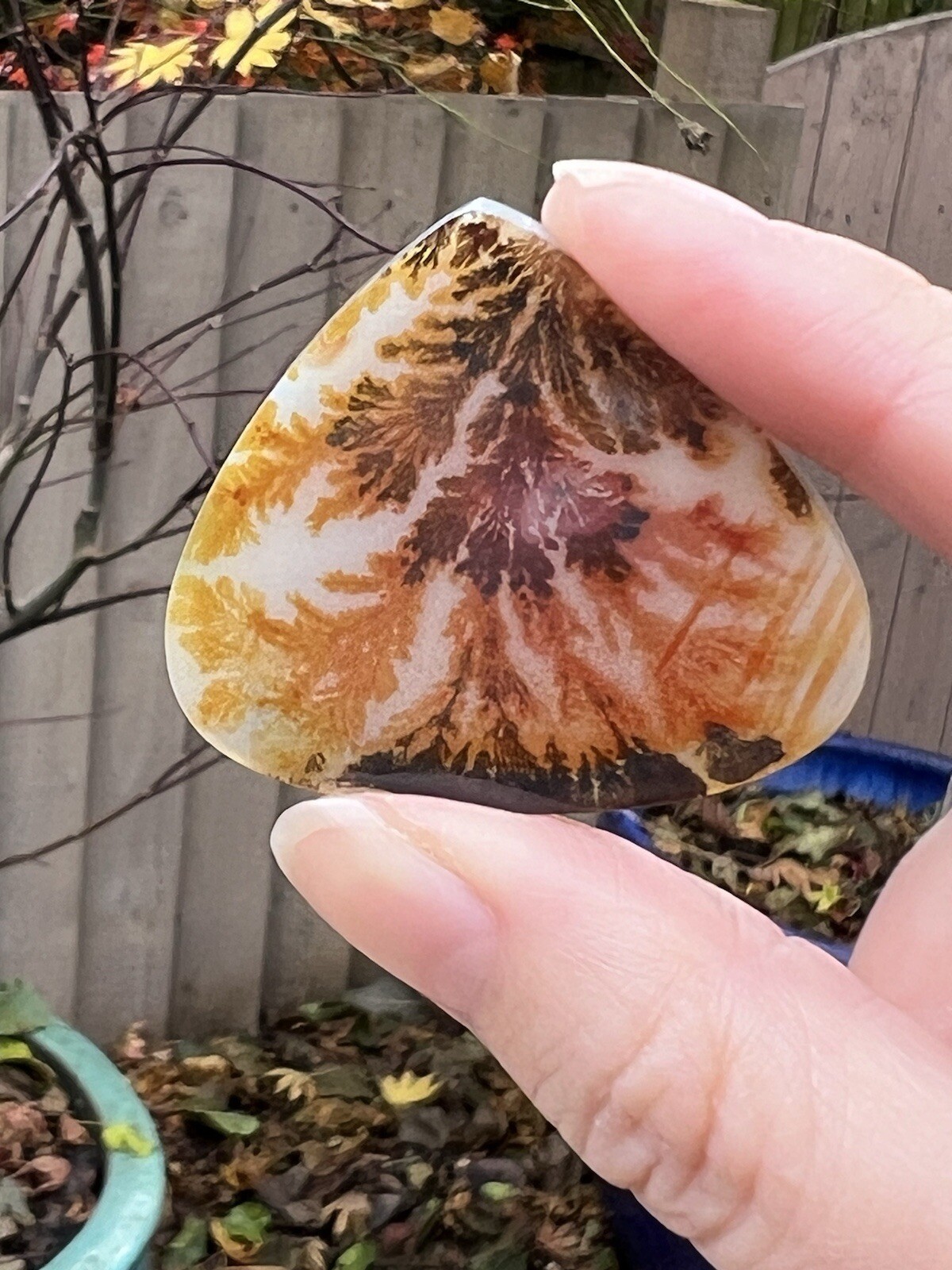 Large Shazar Dendrite / Dendritic Agate Polished Cabochon Rare 7g 35 Carats 6