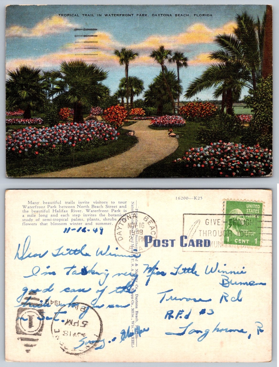 Vintage Daytona Beach FL Waterfront Park Tropical Trail Postcard 1949 E.C. Kropp Vintage Daytona Beach FL Waterfront Park Tropical Trail Postcard 1949 E.C. Kropp