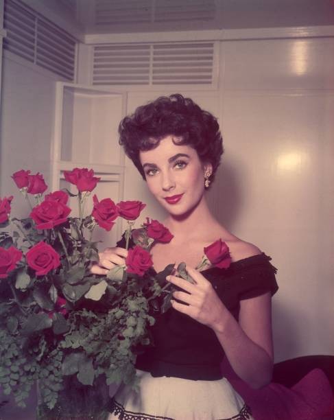 British-born actor Elizabeth Taylor arranging a bouquet red roses 1953 Old Photo