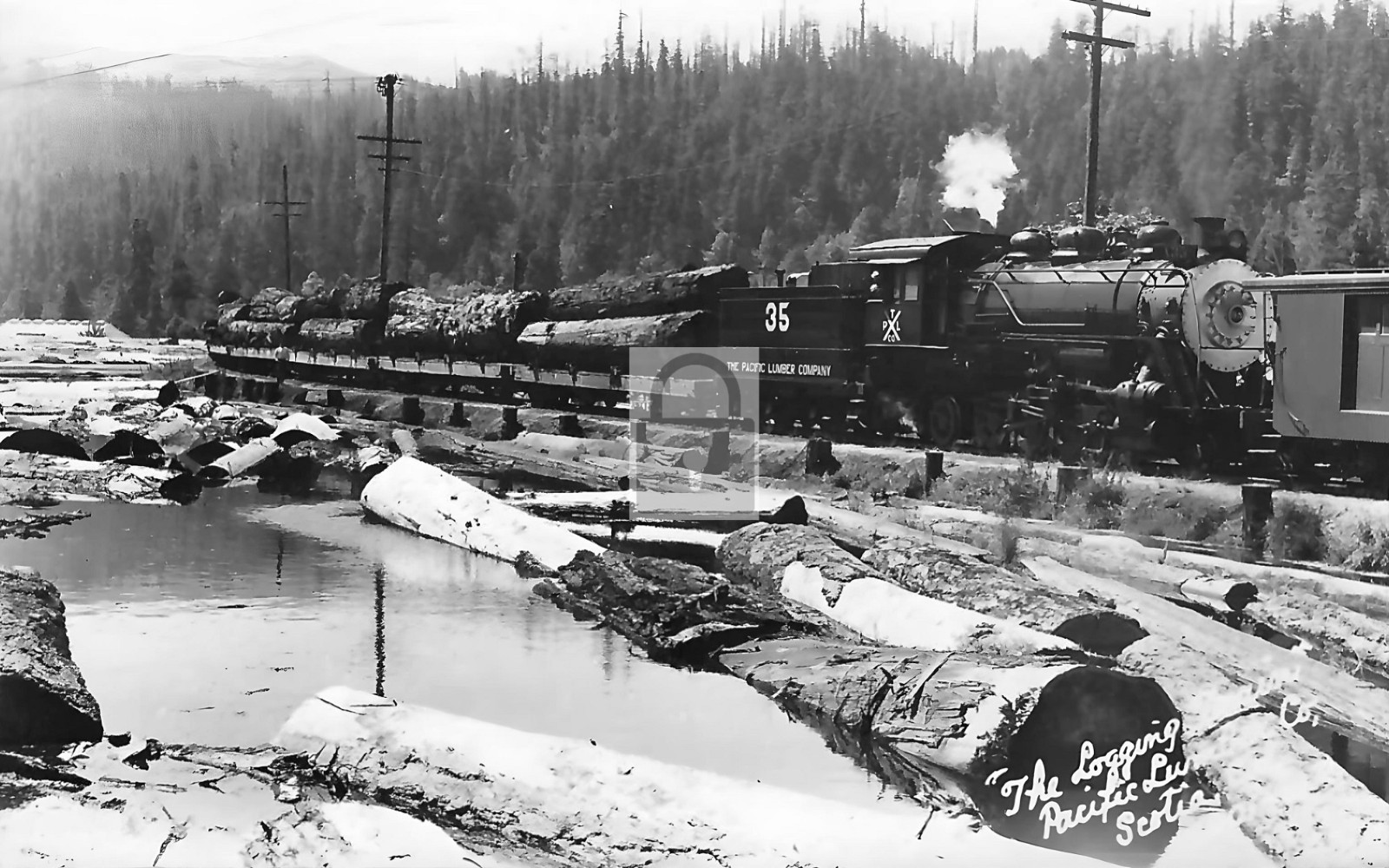 Pacific Lumber Co Logging Railroad Train Scotia California CA - Reprint