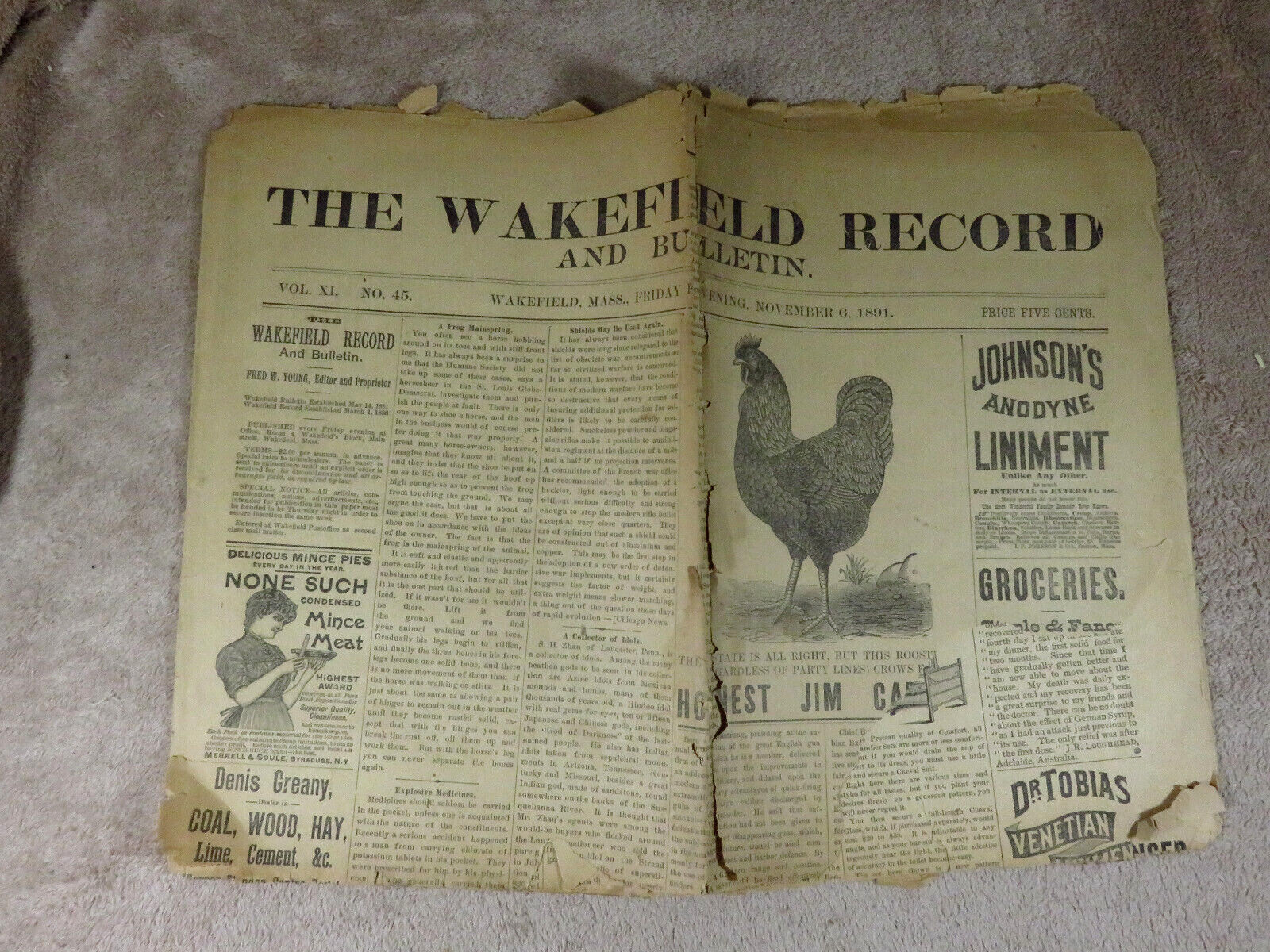 Vtg. 1891 ORIGINAL Newspaper THE WAKEFIELD Ma. RECORD Old  Ephemera