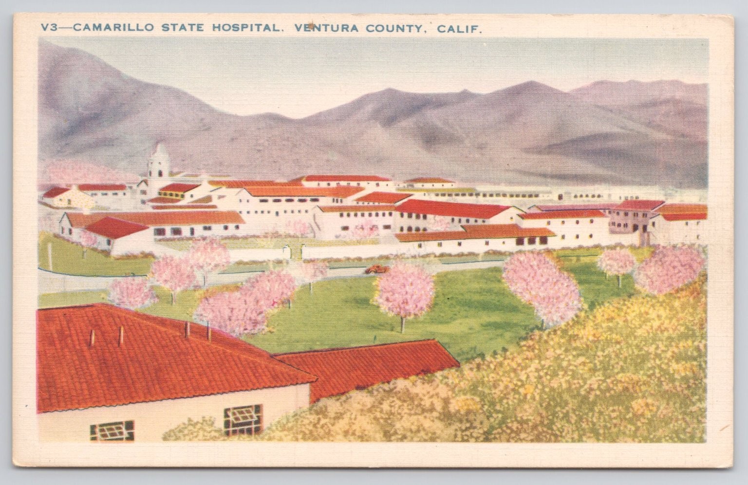 Camarillo State Hospital for the Insane Ventura County CA Postcard c1935s Camarillo State Hospital for the Insane Ventura County CA Postcard c1935s