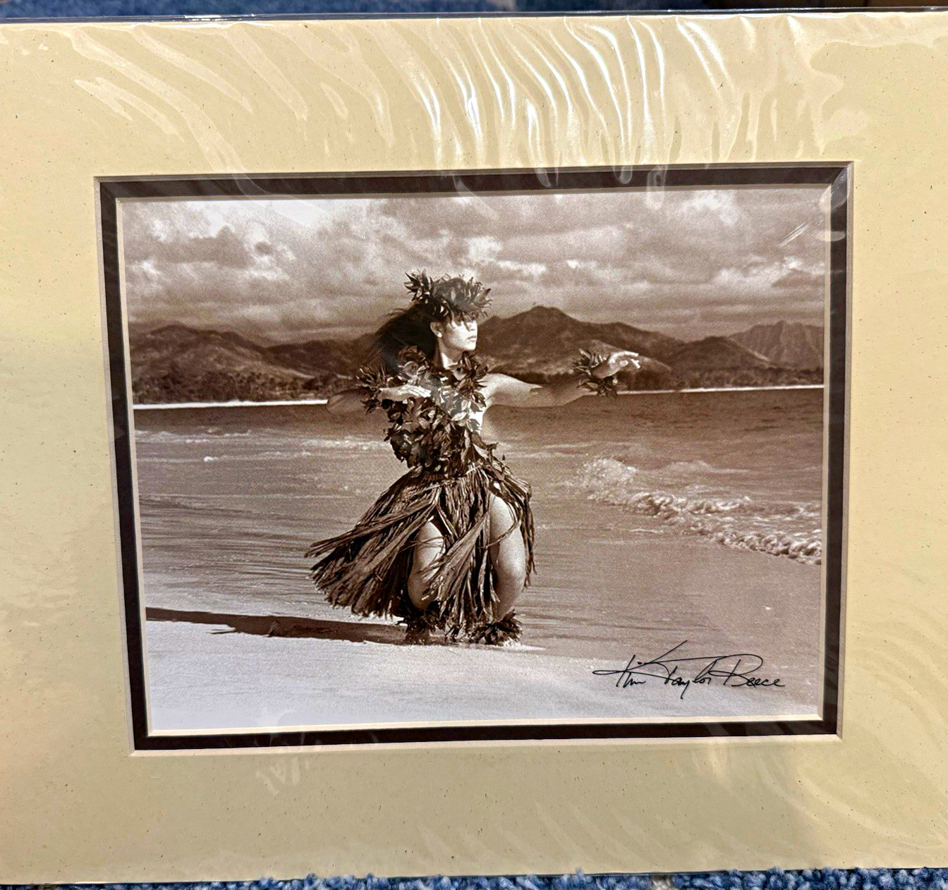 Lot of 10 Kim Taylor Reece Hula Fine Art Prints 8x10 Matte 11x14 Hawaiian New Lot of 10 Kim Taylor Reece Hula Fine Art Prints 8x10 Matte 11x14 Hawaiian New